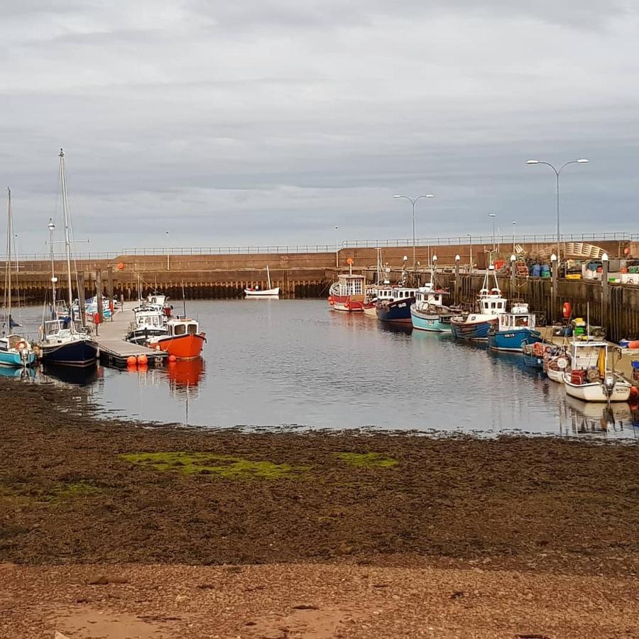 Helmsdale Lodge Hostel - All Rooms En-Suite Εξωτερικό φωτογραφία